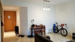 Amaryllis Ville (D11), Condominium #481941651